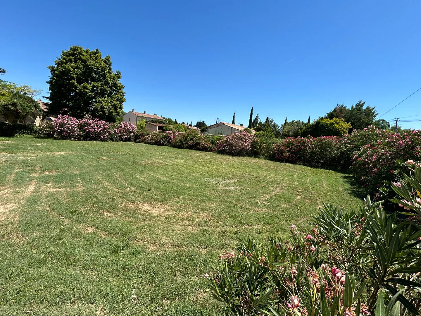 Terrain