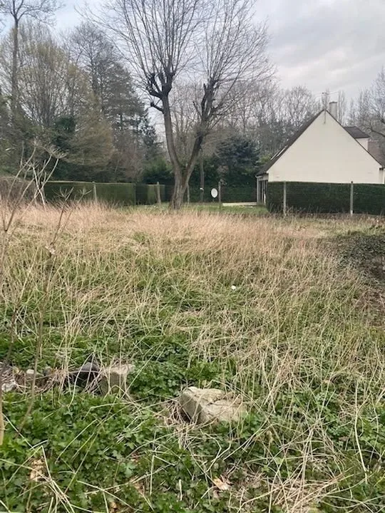 Terrain