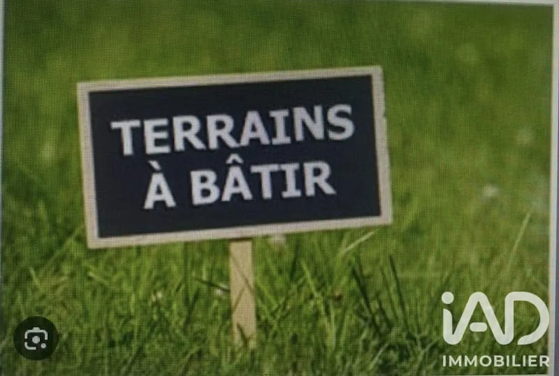 Terrain