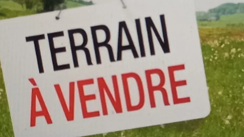 Terrain