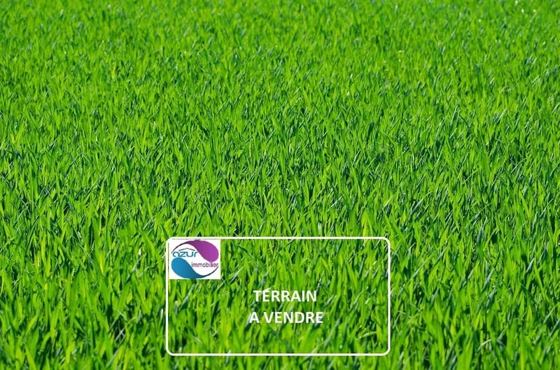 Terrain