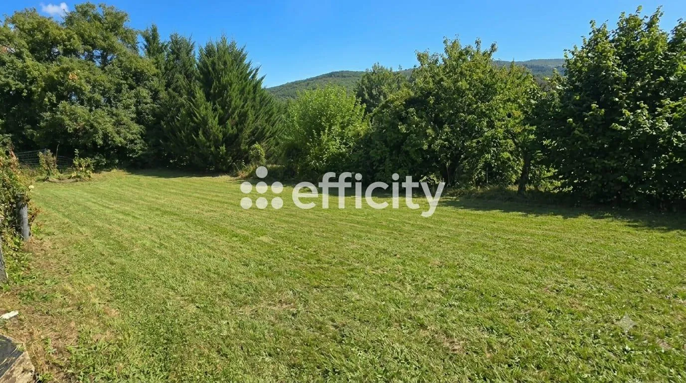 Terrain