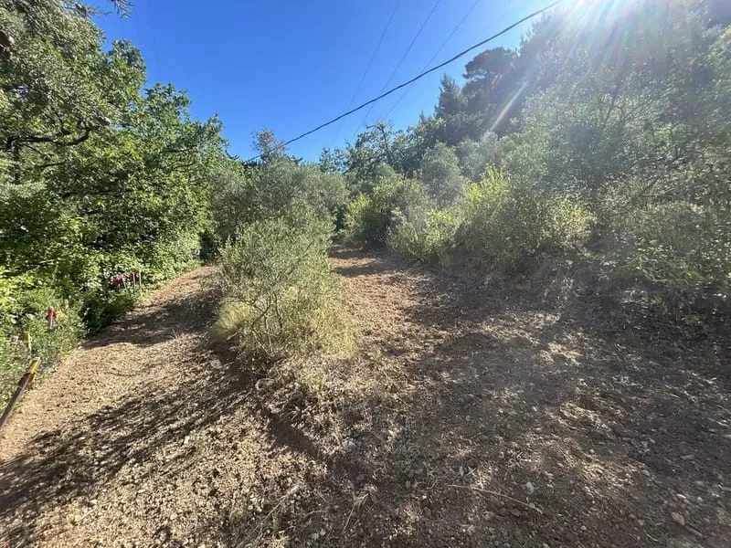 Terrain