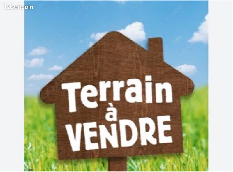 Terrain