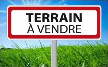 Terrain