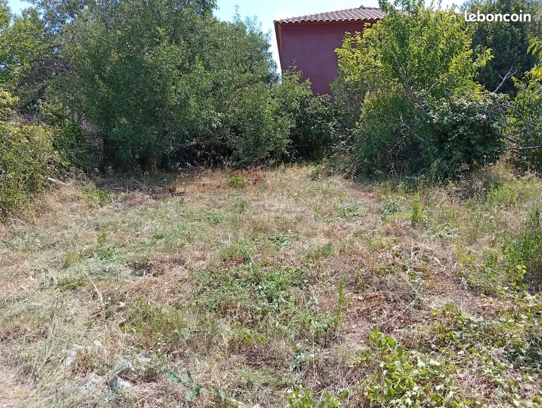 Terrain