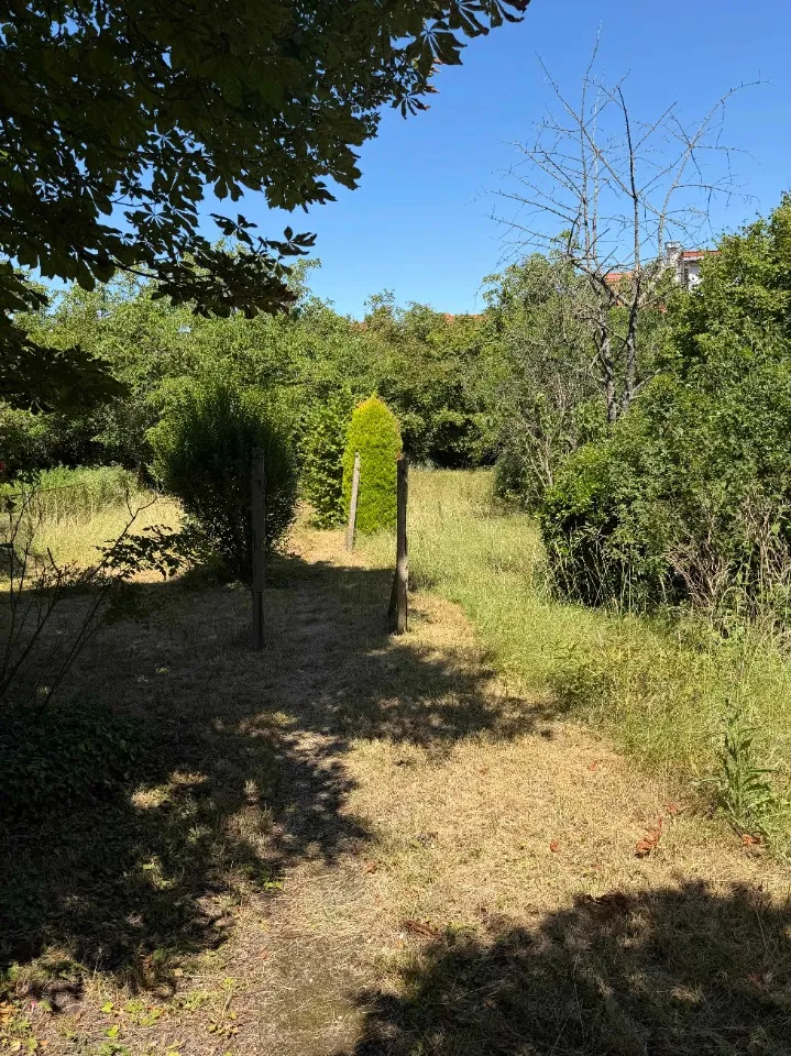 Terrain