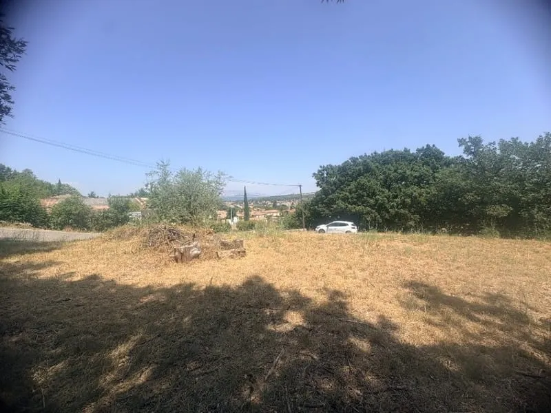 Terrain