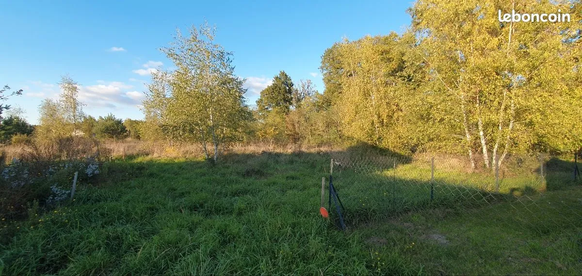 Terrain