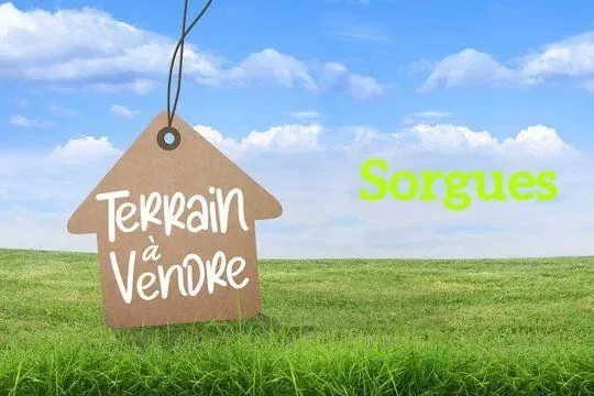 Terrain