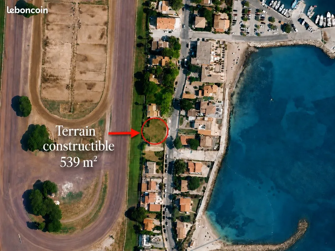 Terrain