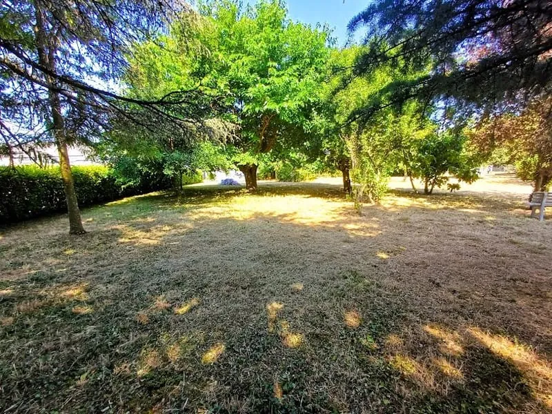 Terrain