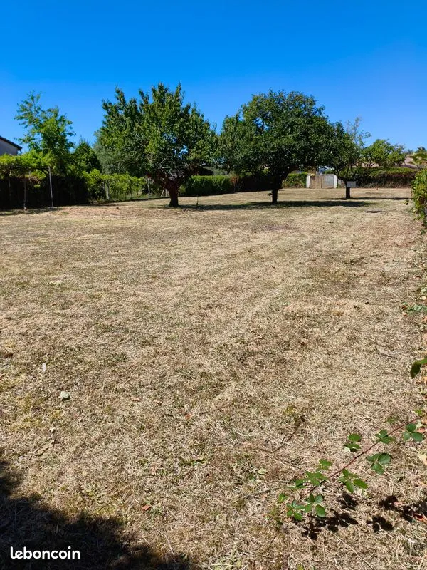 Terrain