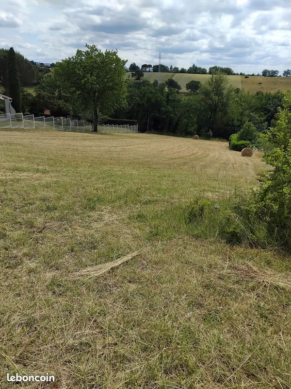 Terrain
