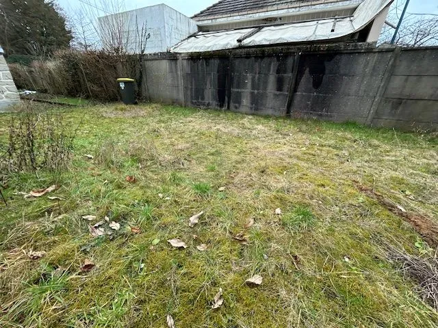 Terrain