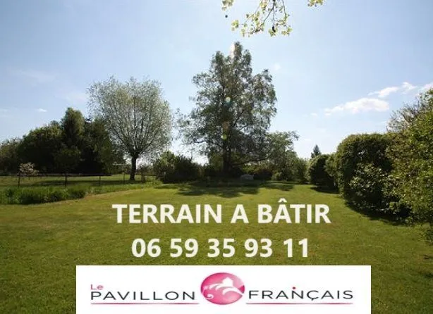 Terrain