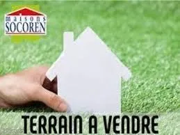 Terrain