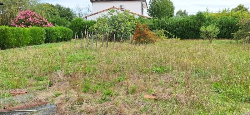 Terrain