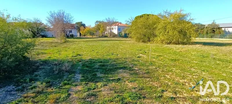 Terrain