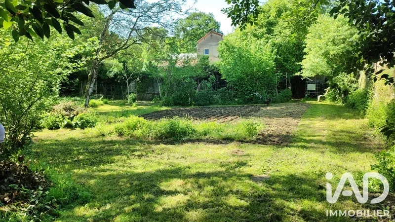 Terrain