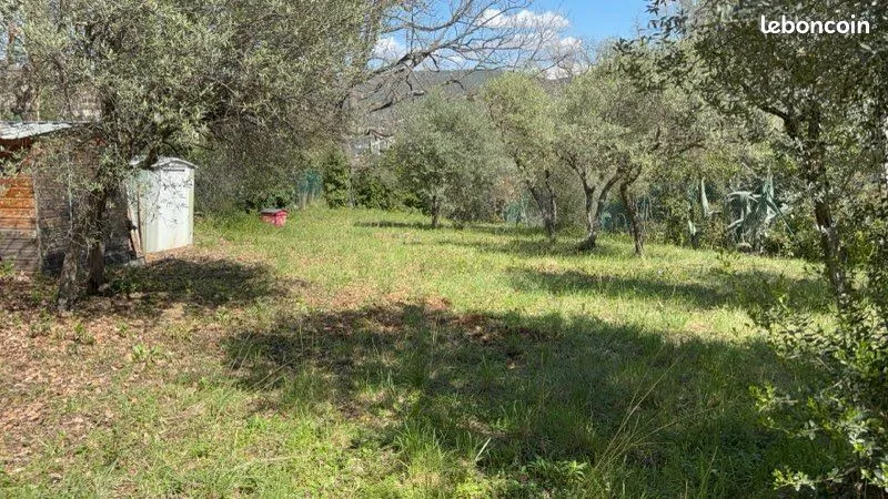 Terrain