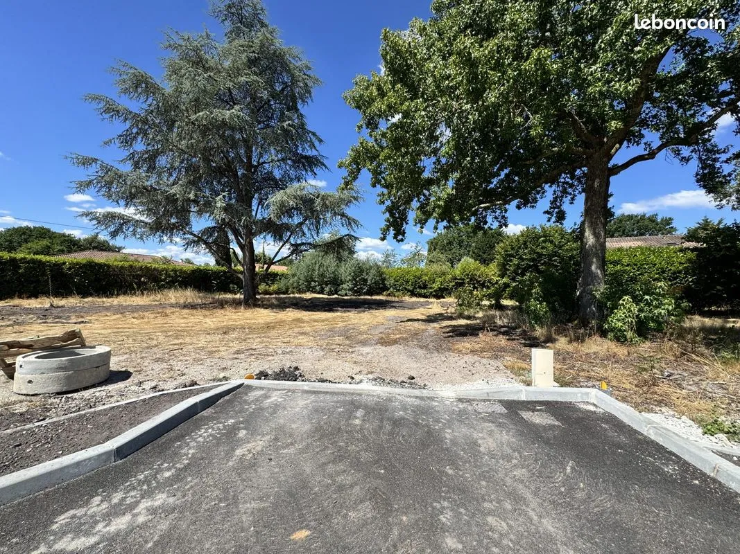 Terrain