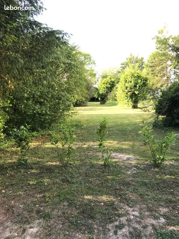 Terrain