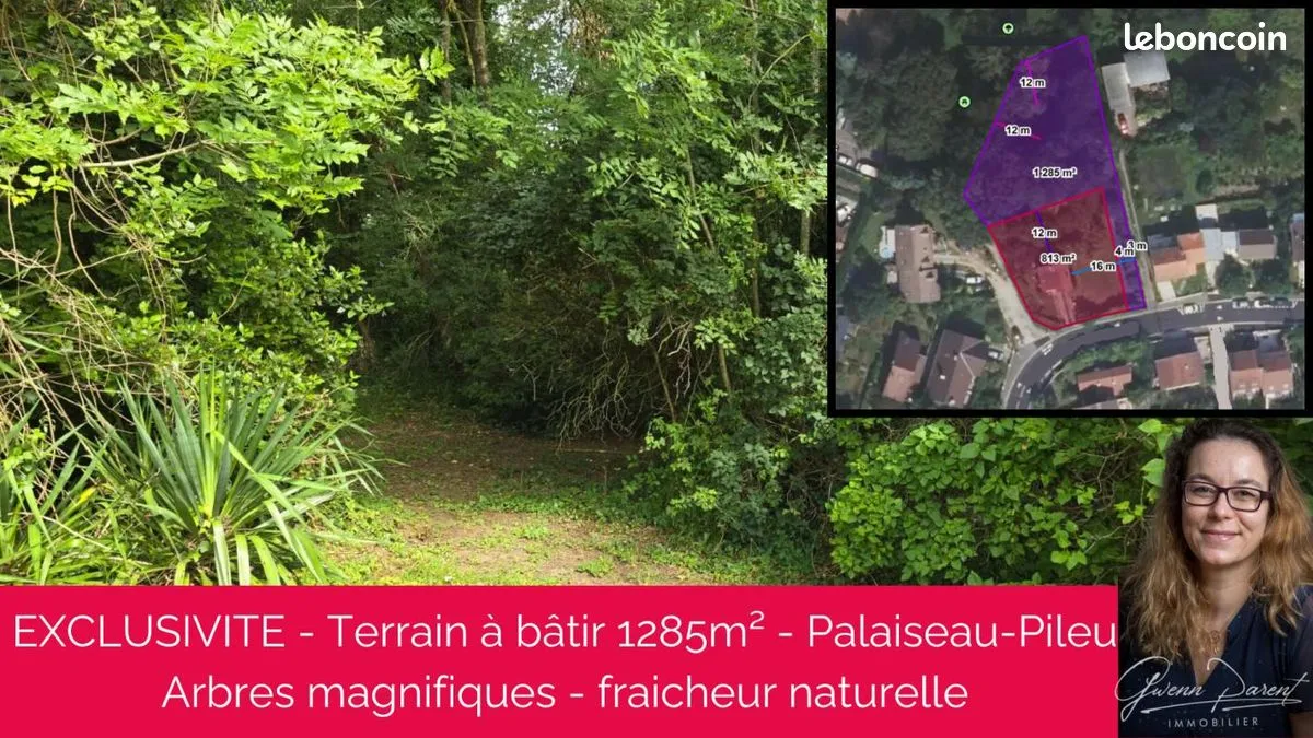 Terrain