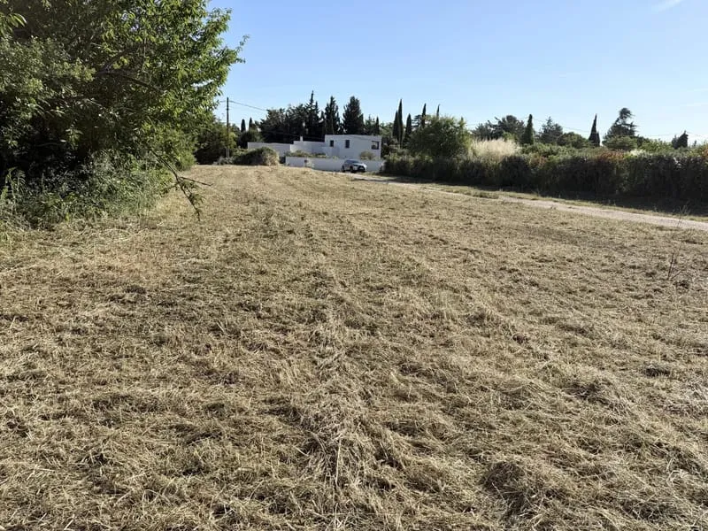 Terrain