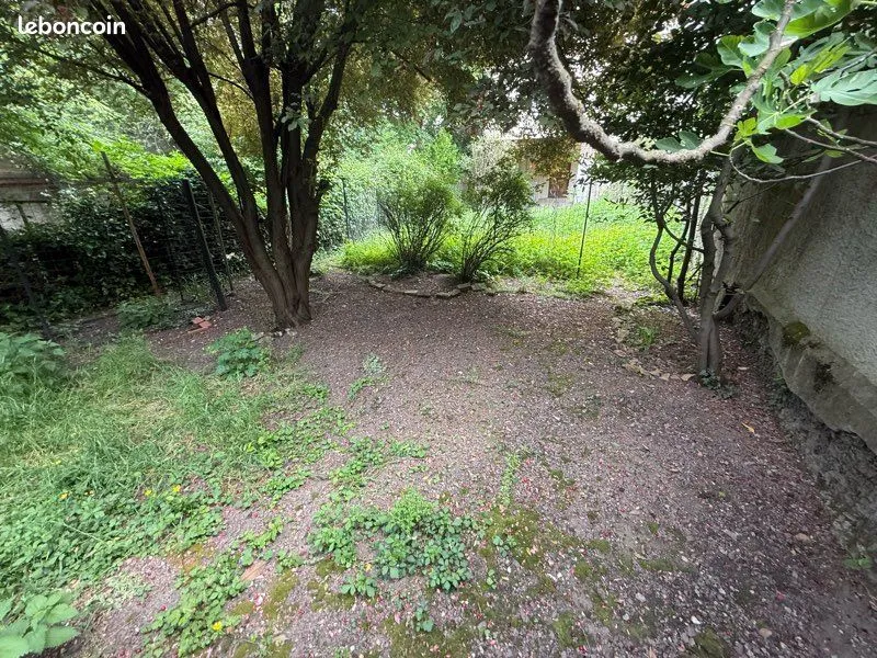 Terrain