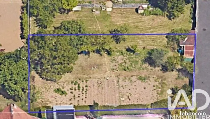 Terrain