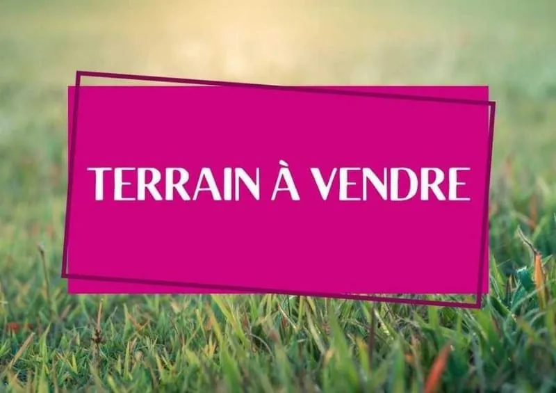 Terrain