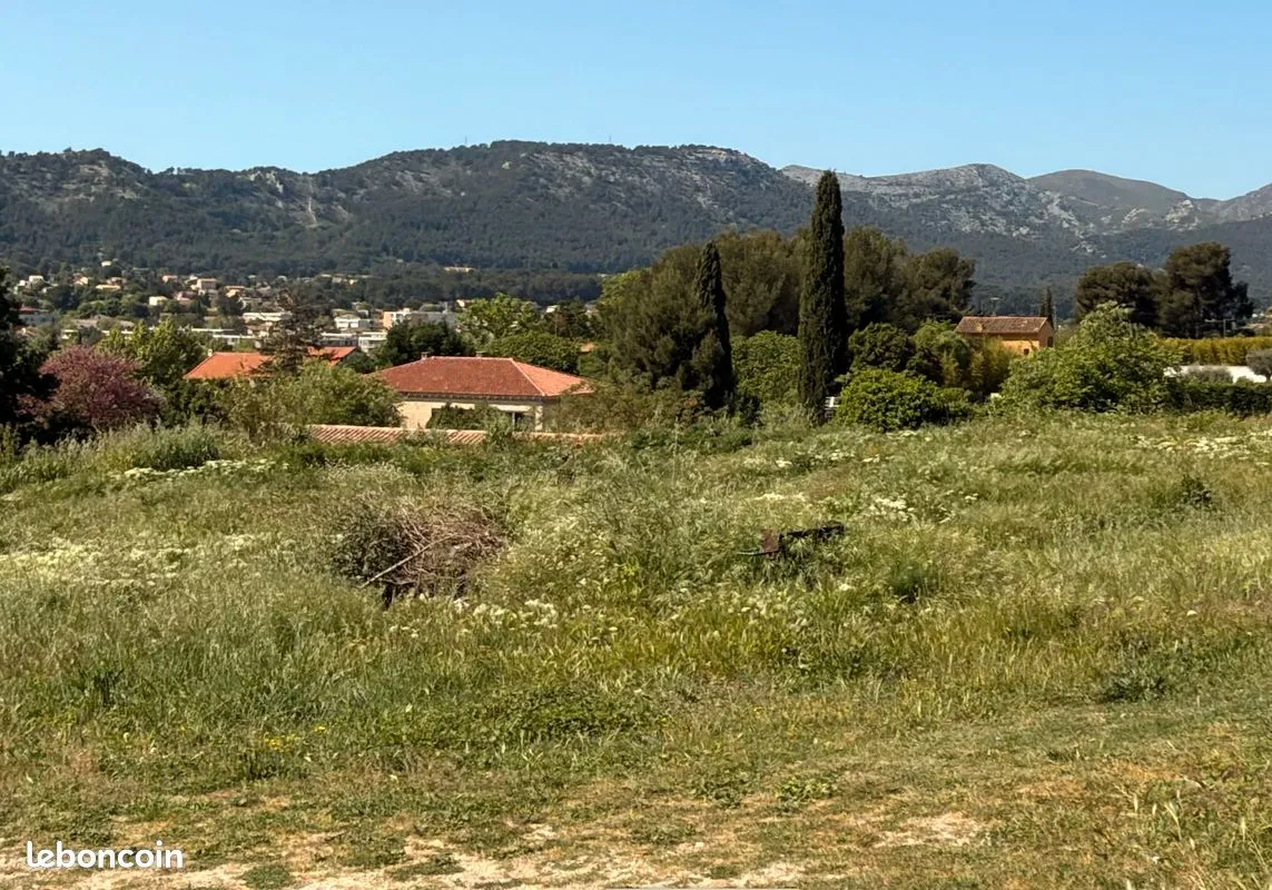 Terrain