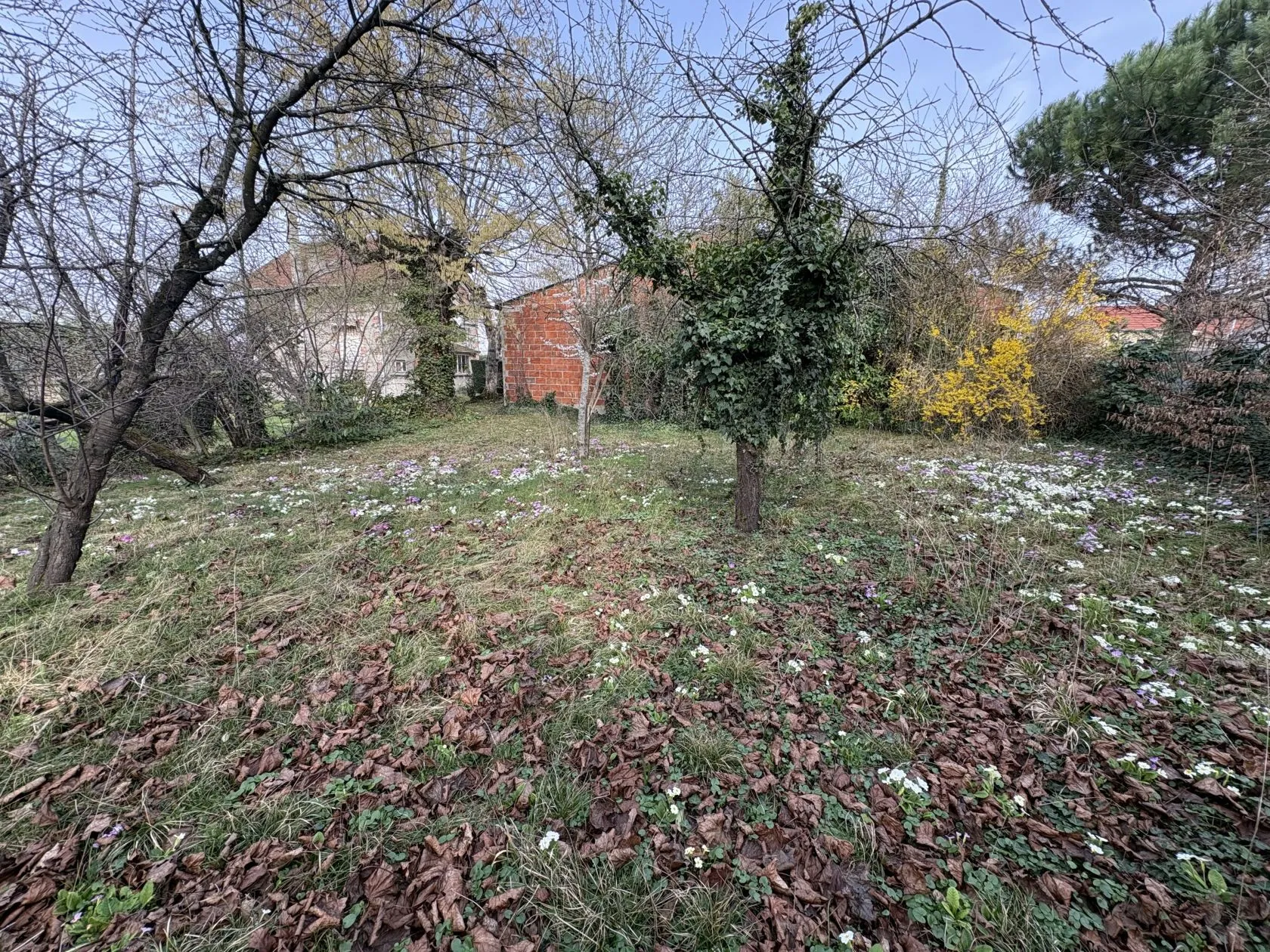 Terrain