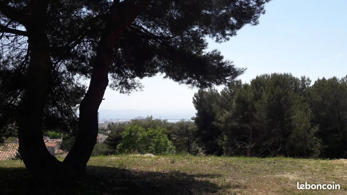 Terrain