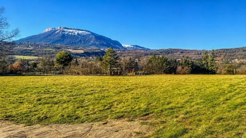 Terrain