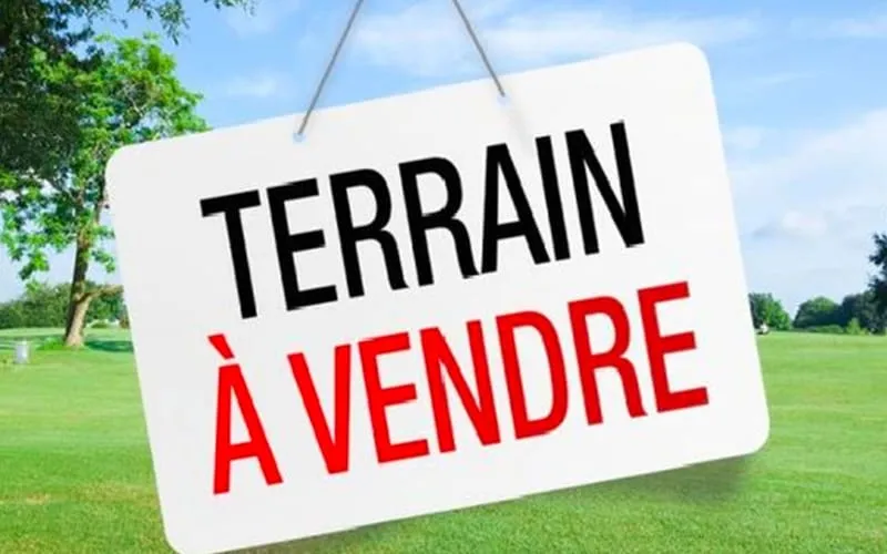 Terrain