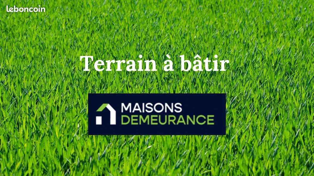 Terrain