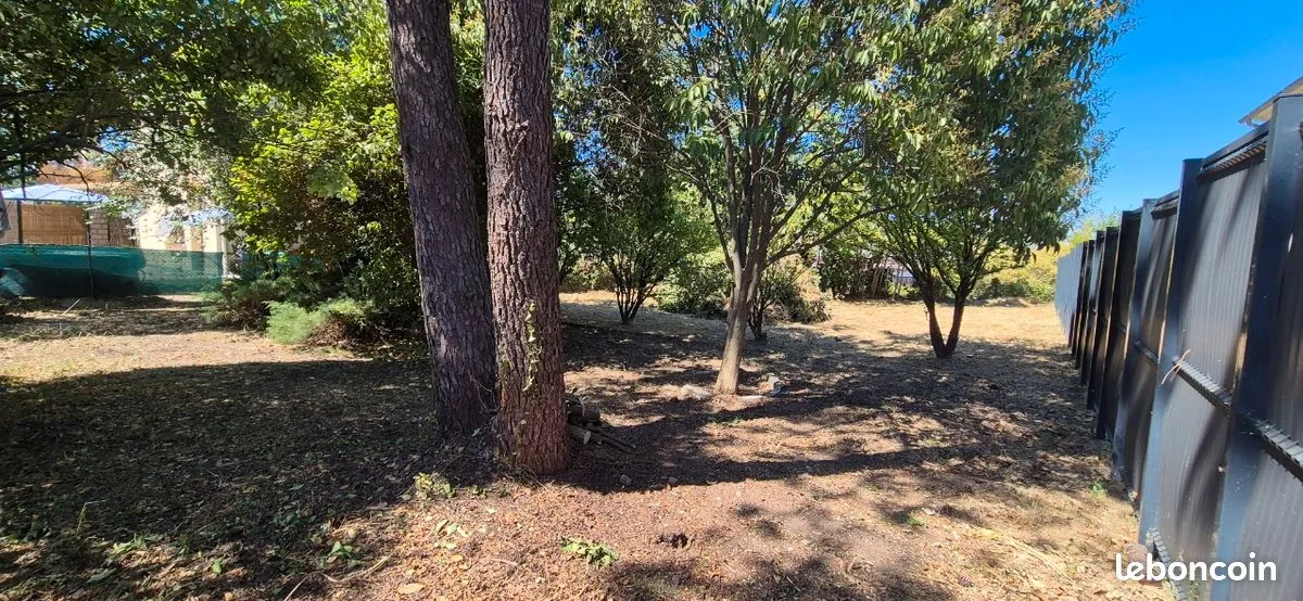 Terrain