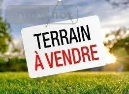 Terrain