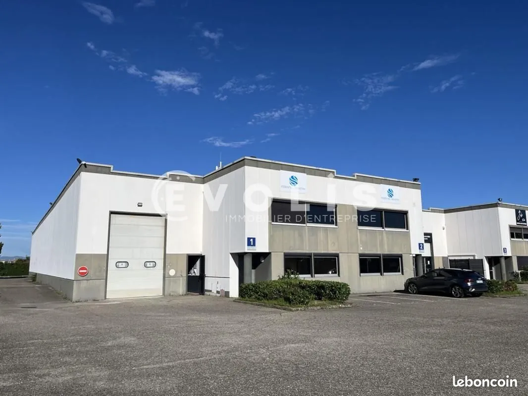Local d'activité