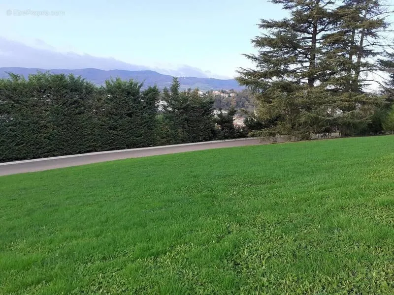 Terrain