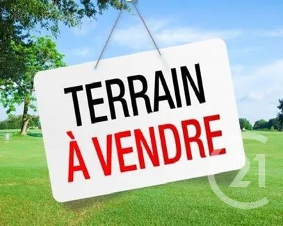 Terrain