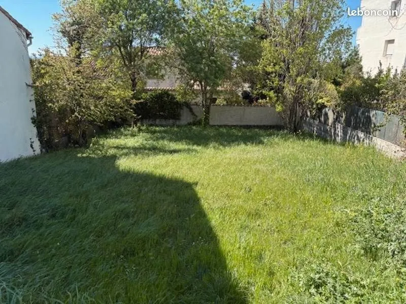 Terrain