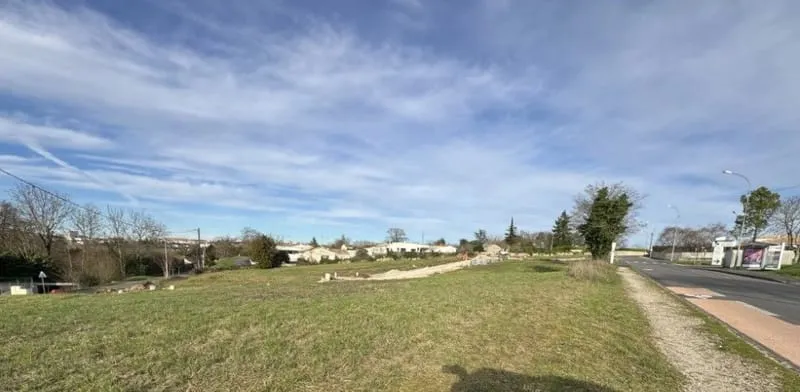 Terrain