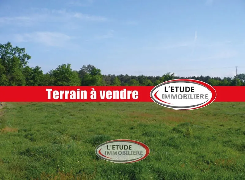 Terrain