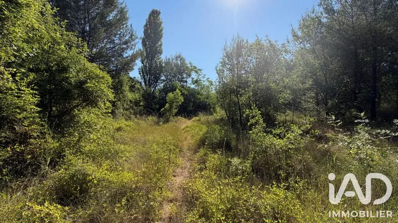 Terrain