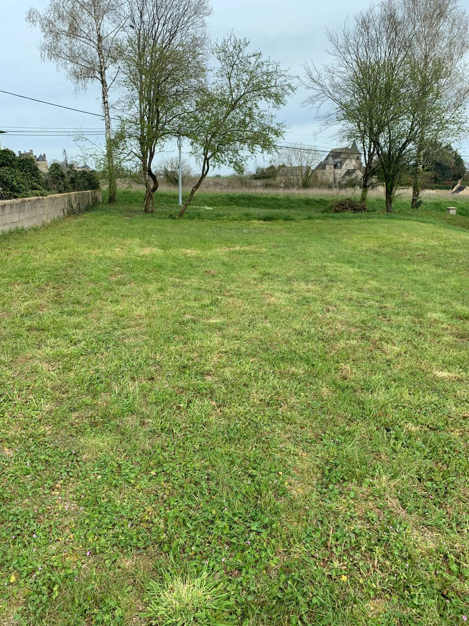 Terrain