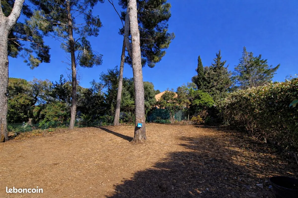 Terrain
