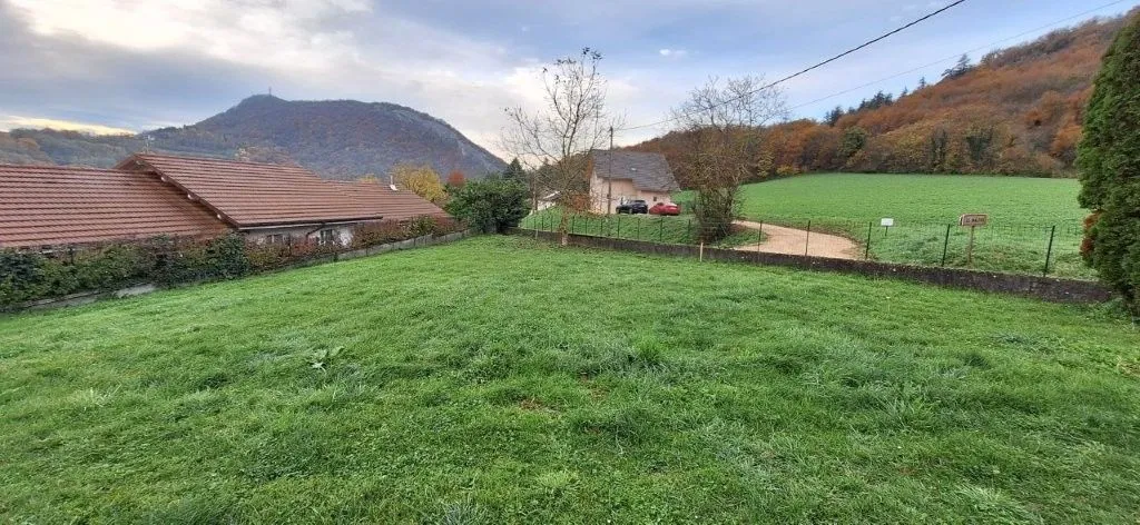 Terrain